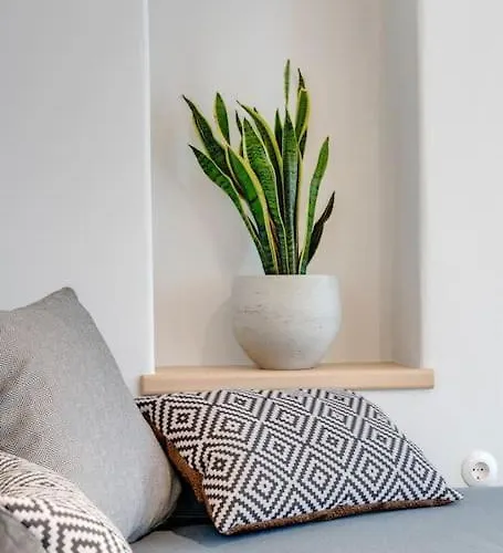 Nomade Vibrant Living Loft דירה *